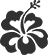 rose_image